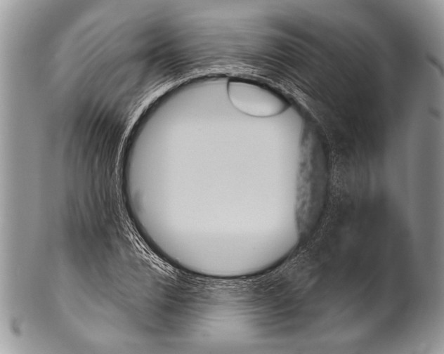 X0000100390832200806201712