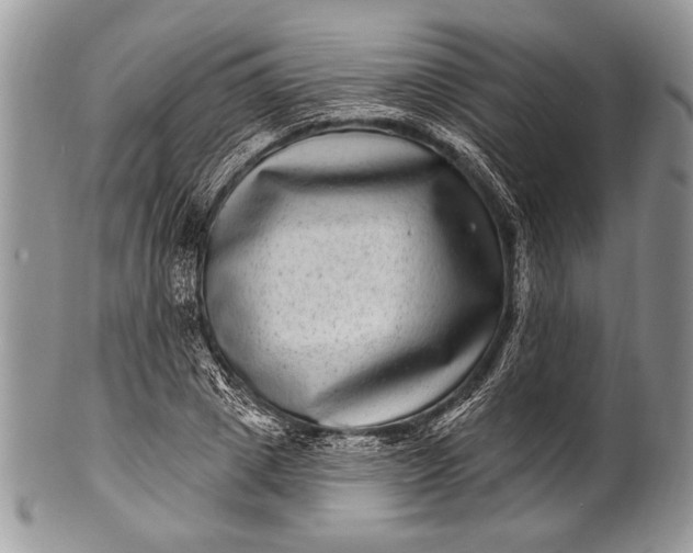 X0000100390833200806201712