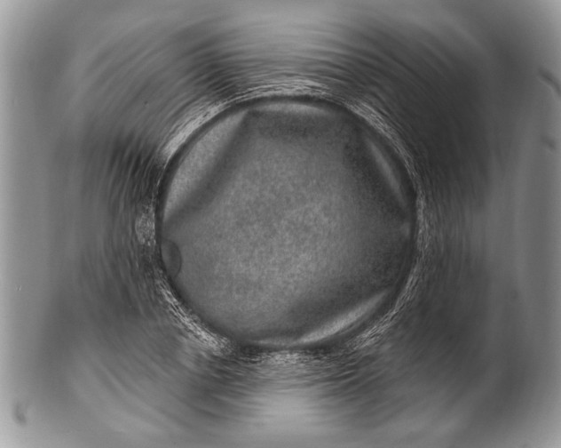 X0000100390834200806201712