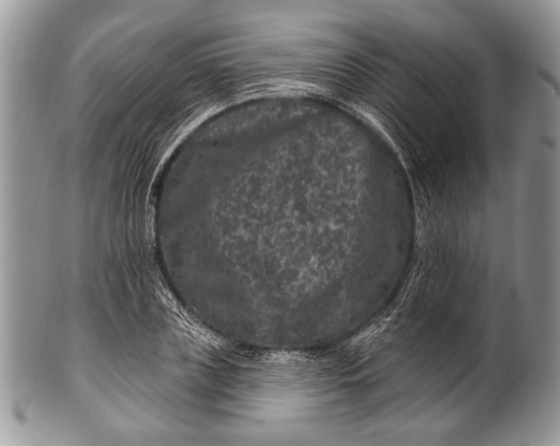 X0000100390835200806201712