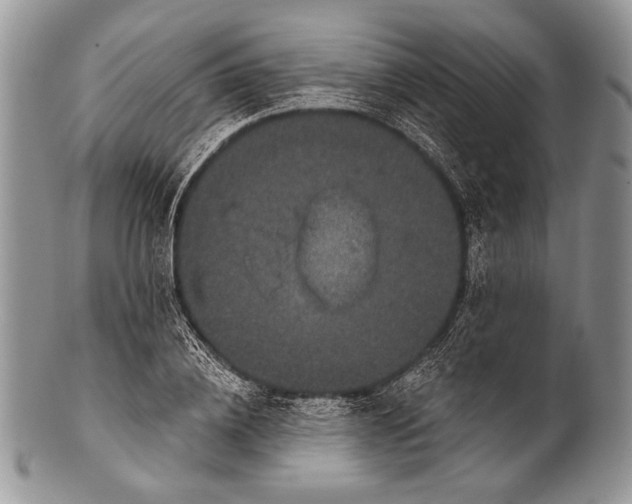 X0000100390836200806201712