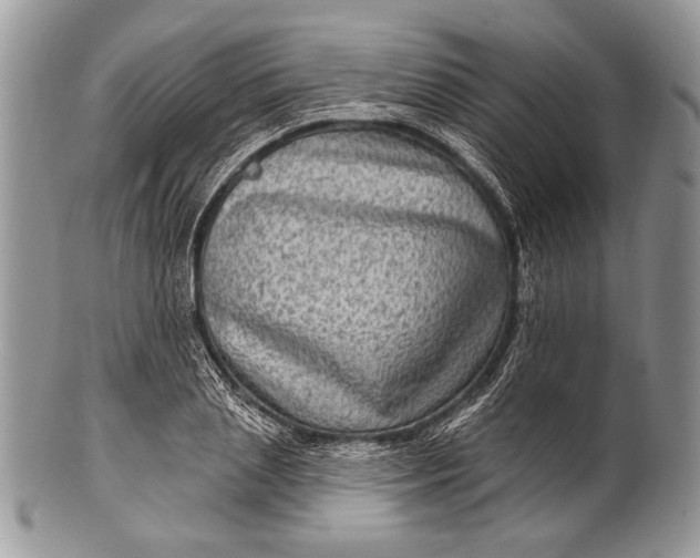 X0000100390837200806201712