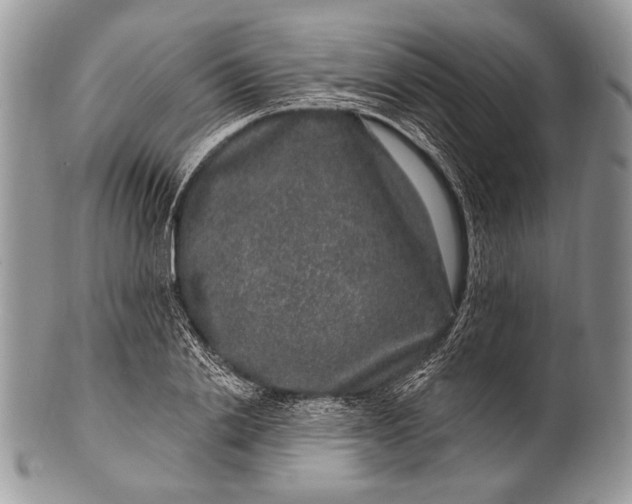 X0000100390838200806201712