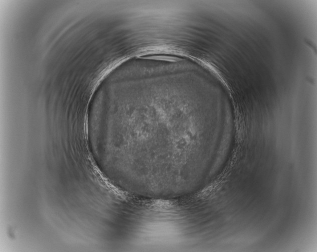 X0000100390839200806201712