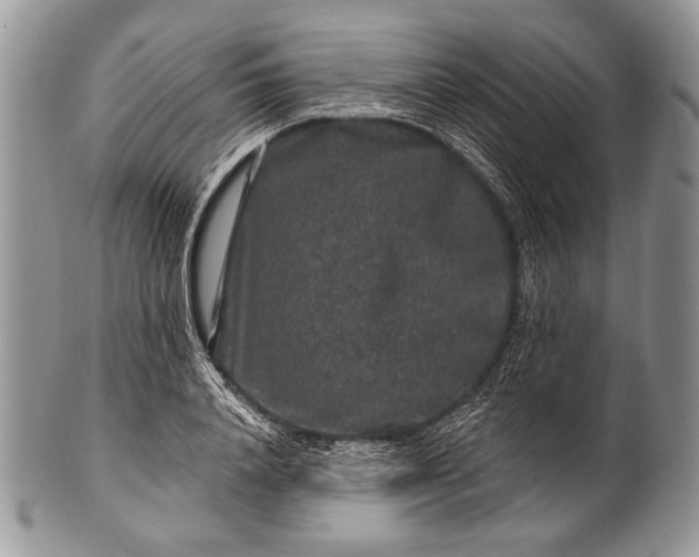 X0000100390840200806201712