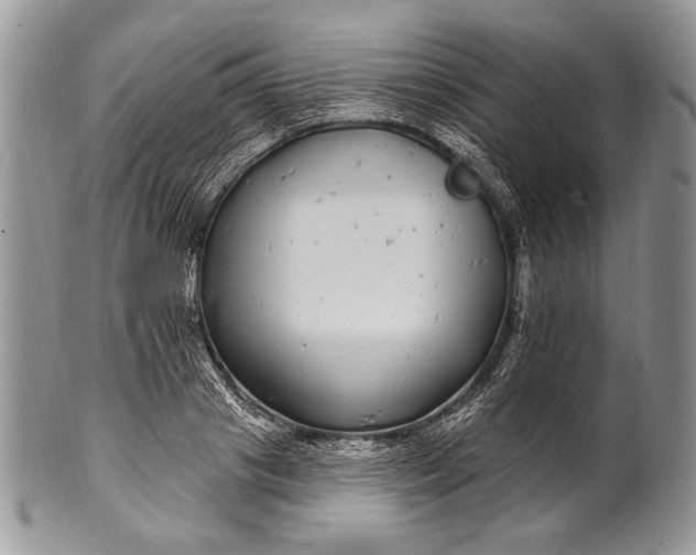 X0000100390841200806201712