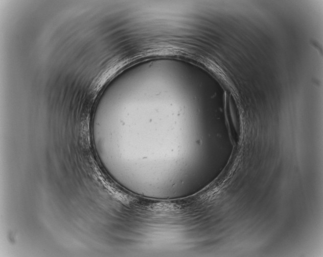 X0000100390842200806201712