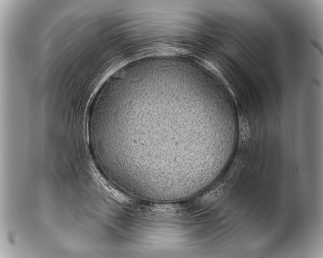 X0000100390843200806201712