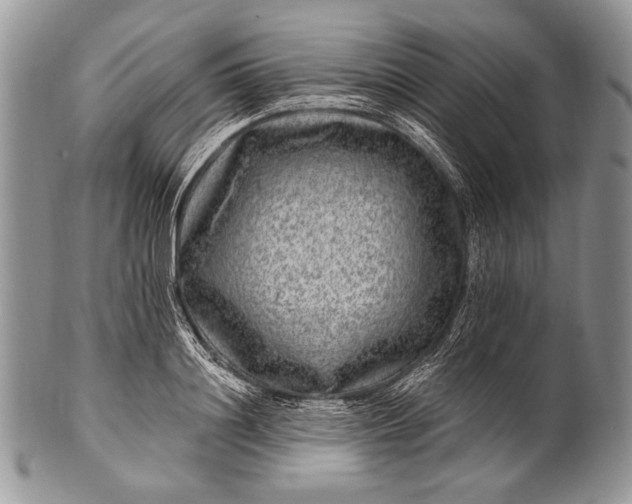 X0000100390844200806201712