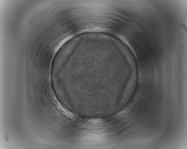 X0000100390845200806201712