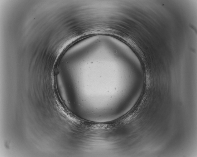 X0000100390846200806201712