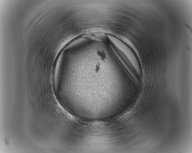 X0000100390847200806201712