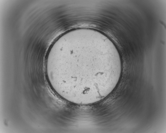 X0000100390848200806201712