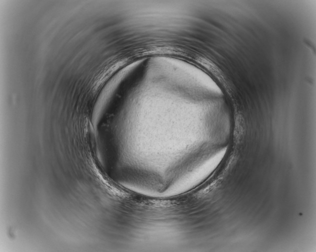 X0000100390849200806201712