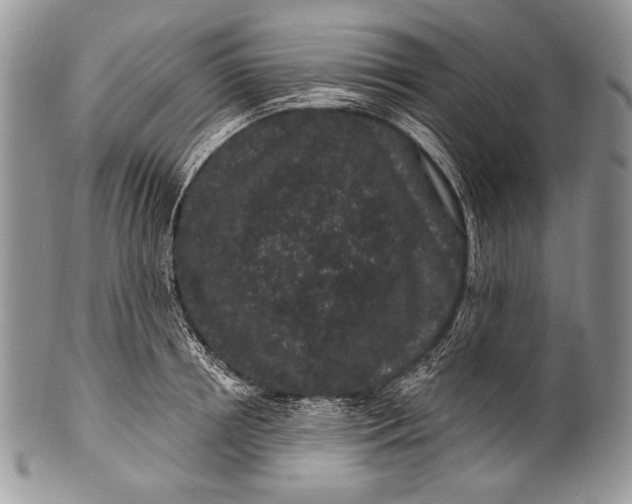 X0000100390850200806201712