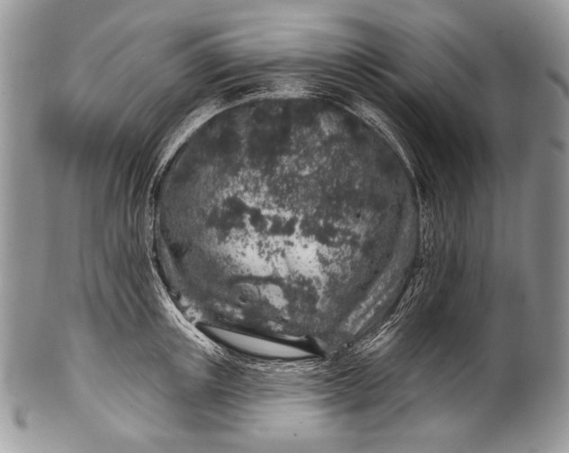 X0000100390851200806201712