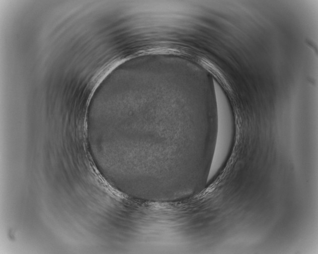 X0000100390852200806201712