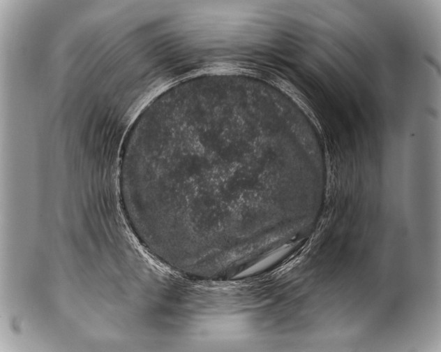 X0000100390853200806201712