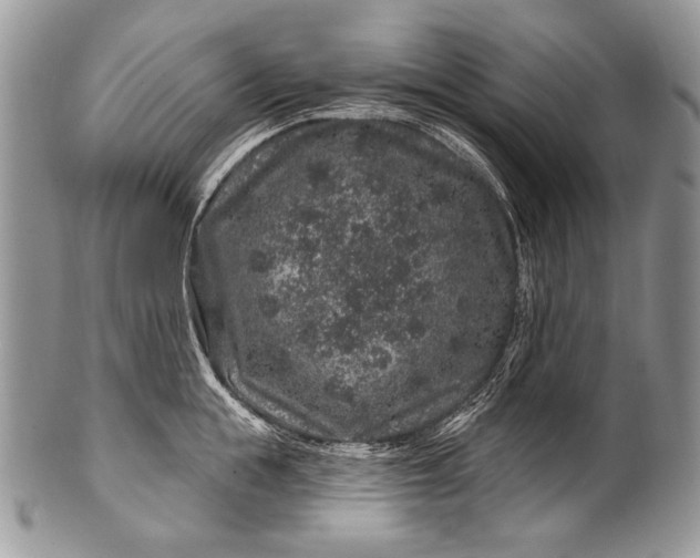 X0000100390855200806201712