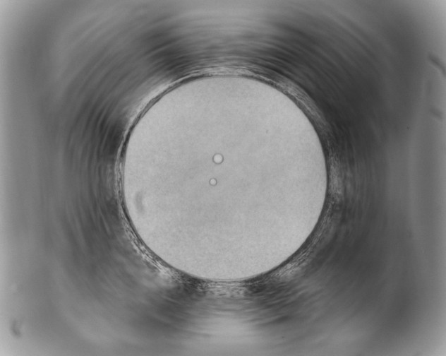 X0000100390856200806201712