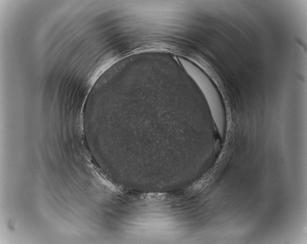 X0000100390858200806201712