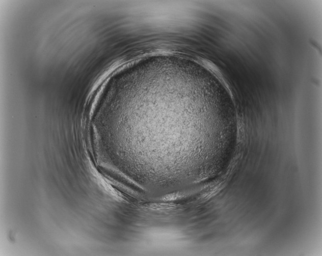 X0000100390859200806201712