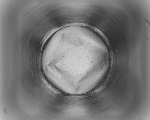 X0000100390860200806201712