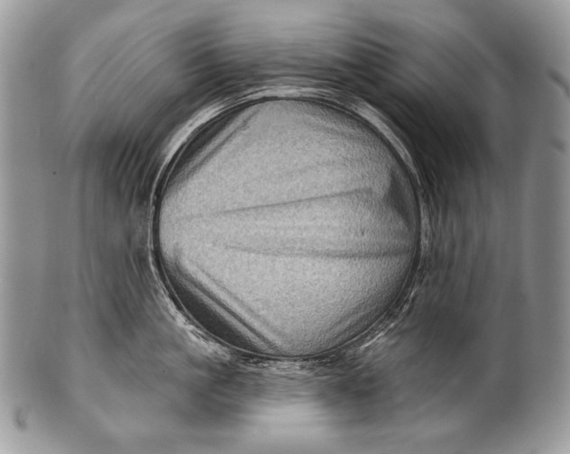 X0000100390861200806201712