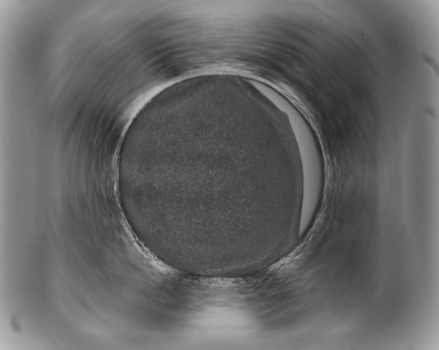 X0000100390862200806201712