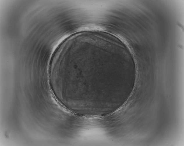 X0000100390864200806201712