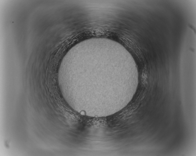 X0000100390865200806201711