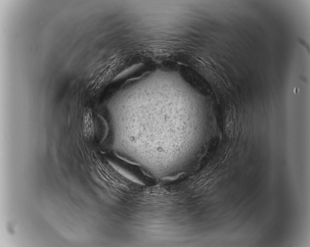 X0000100390866200806201711