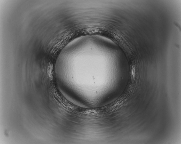 X0000100390867200806201711