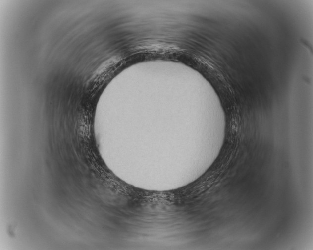 X0000100390869200806201711