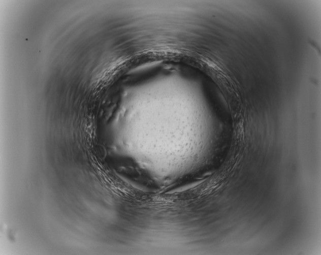 X0000100390870200806201711