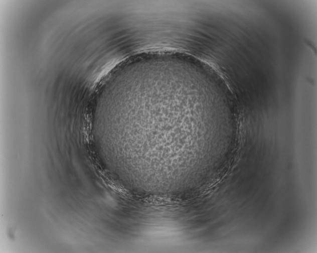 X0000100390871200806201711