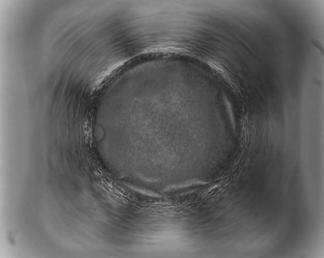 X0000100390872200806201711