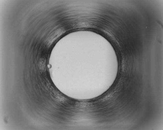 X0000100390873200806201711