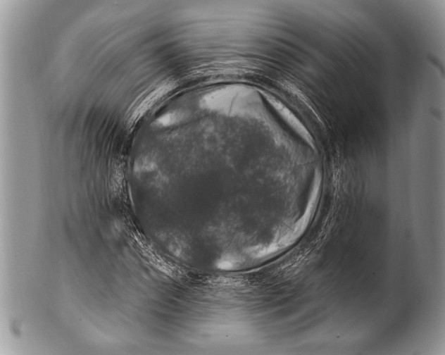 X0000100390874200806201711