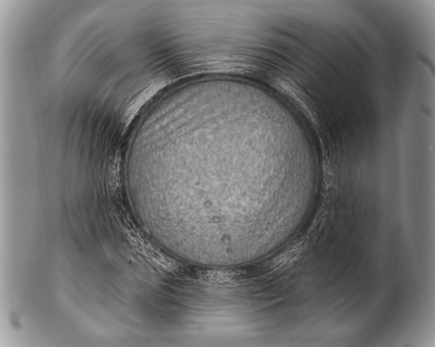 X0000100390875200806201711