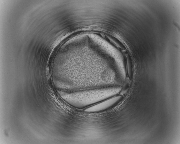 X0000100390876200806201711