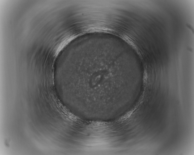 X0000100390877200806201711