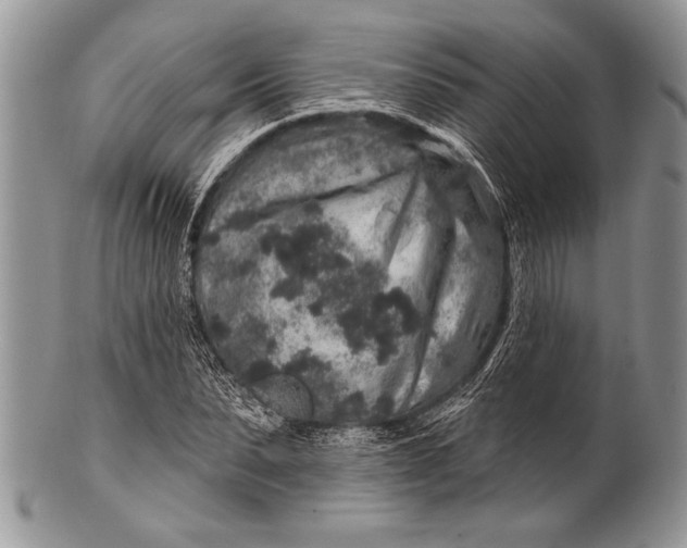 X0000100390879200806201711