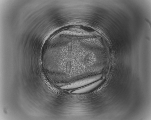 X0000100390880200806201711