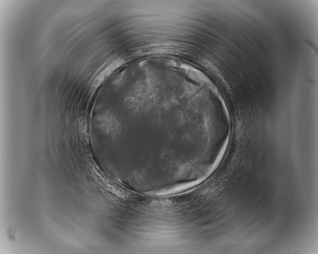 X0000100390882200806201711