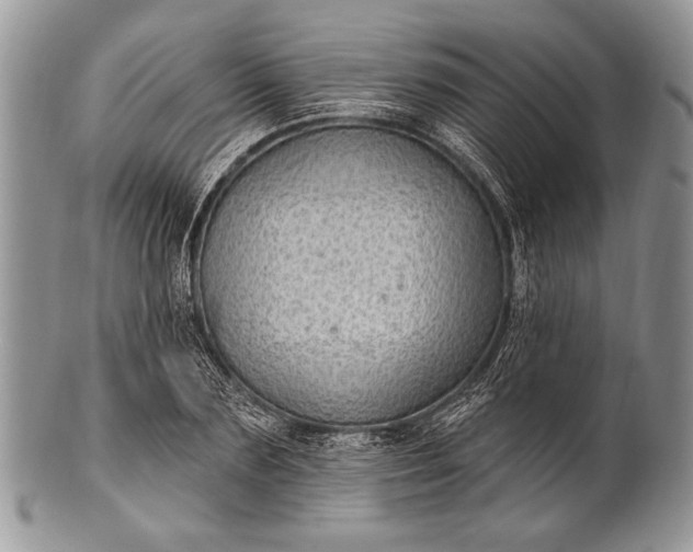 X0000100390883200806201711