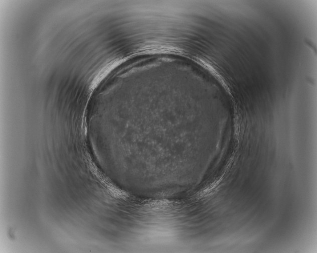 X0000100390885200806201711