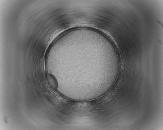 X0000100390887200806201711