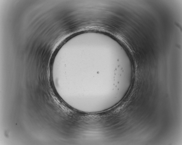 X0000100390888200806201711