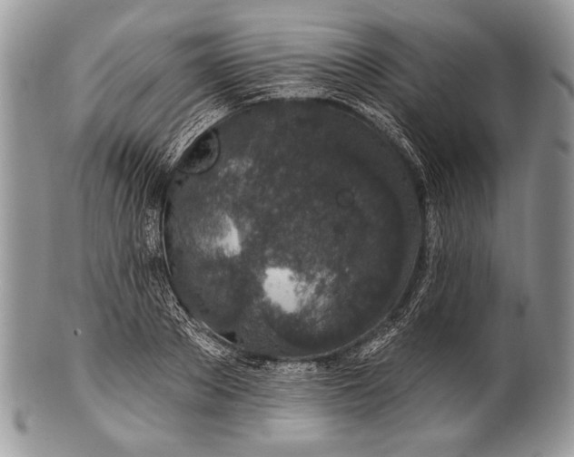 X0000100390889200806201711